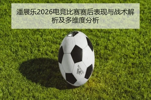 pan-zhan-le-dian-jing-bi-sai-sai-hou-biao-xian-yu-zhan-shu-jie-xi-ji-duo-wei-du-fen-xi-2-754.jpg
