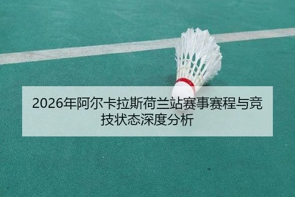 nian-a-er-ka-la-si-he-lan-zhan-sai-shi-sai-cheng-yu-jing-ji-zhuang-tai-shen-du-fen-xi-2-397.jpg