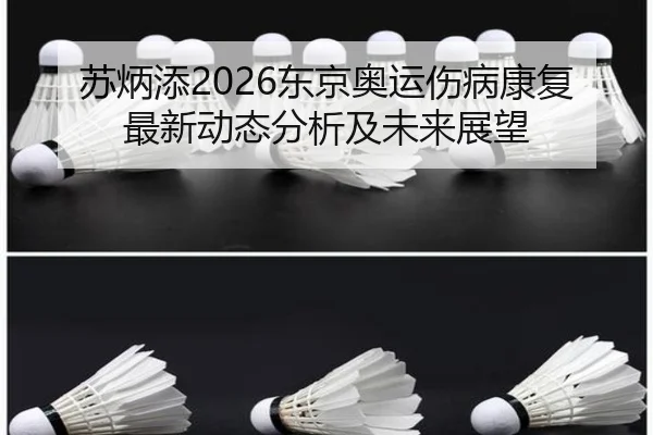 苏炳添2026东京奥运伤病康复最新动态分析及未来展望